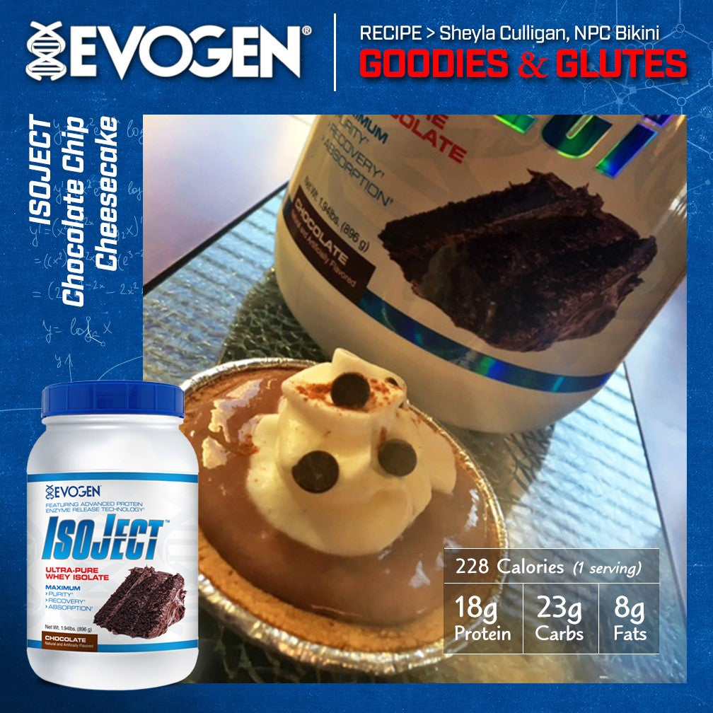 IsoJect Chocolate Chip Cheesecake