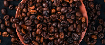 What is Dynamine?