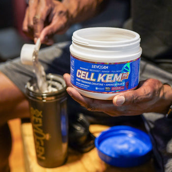 Creatine Muscle Recovery for Faster Gains