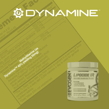 Dynamine 101: A Powerful & Multi-Faceted Ingredient