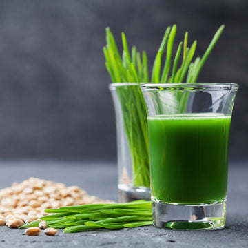Wheat Grass 101: Hot Trend or Highly Beneficial?