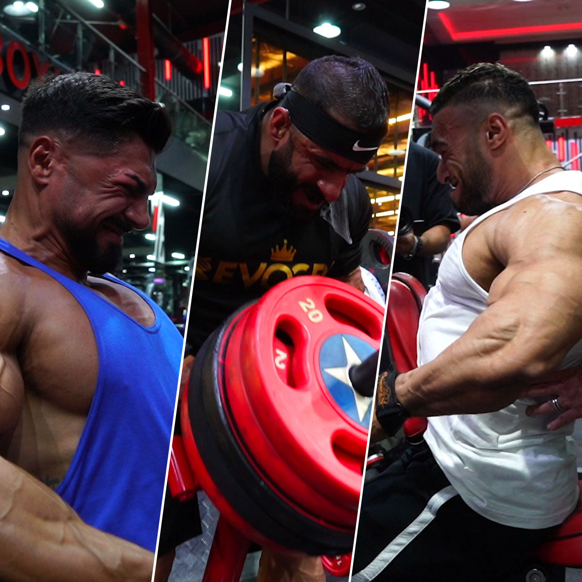 FST-7 Back In Dubai with Hany Rambod