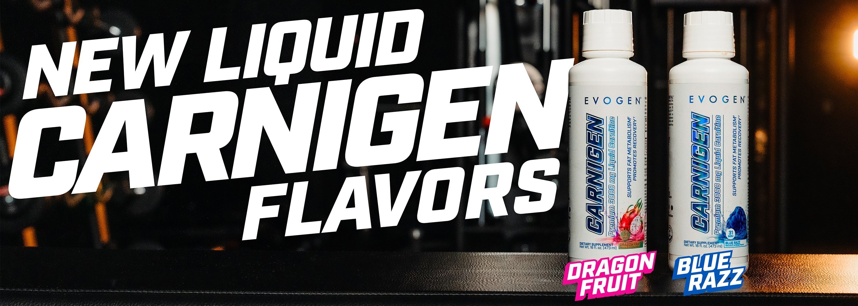 What Does L-Carnitine Do? How It Fuels Performance