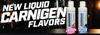 What Does L-Carnitine Do? How It Fuels Performance