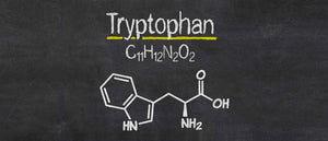 What is Tryptophan?