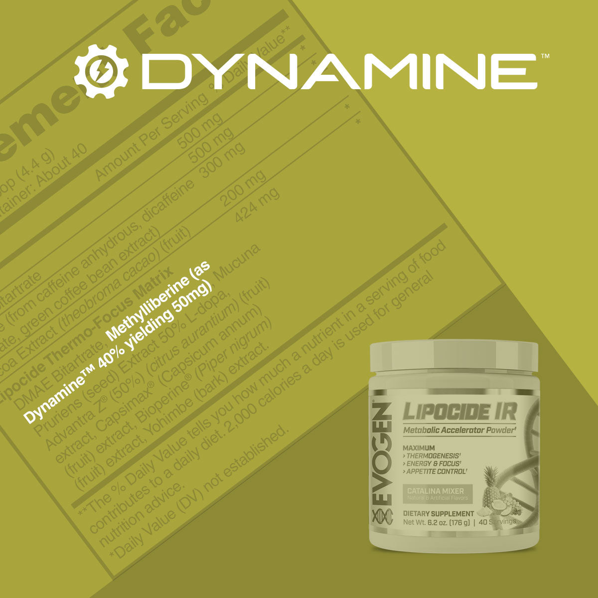 What Is Dynamine Used For : Safety of Short-Term Supplementation with ...