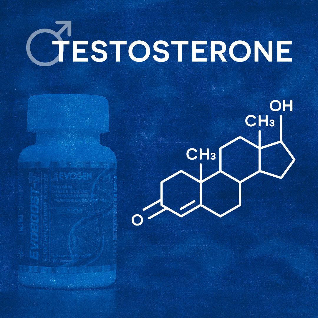 5 Ways Testosterone Enhances Health