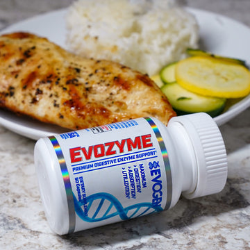 Evozyme 101: How Digestive Enzymes Work