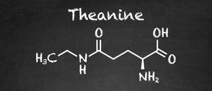 What is Theanine?
