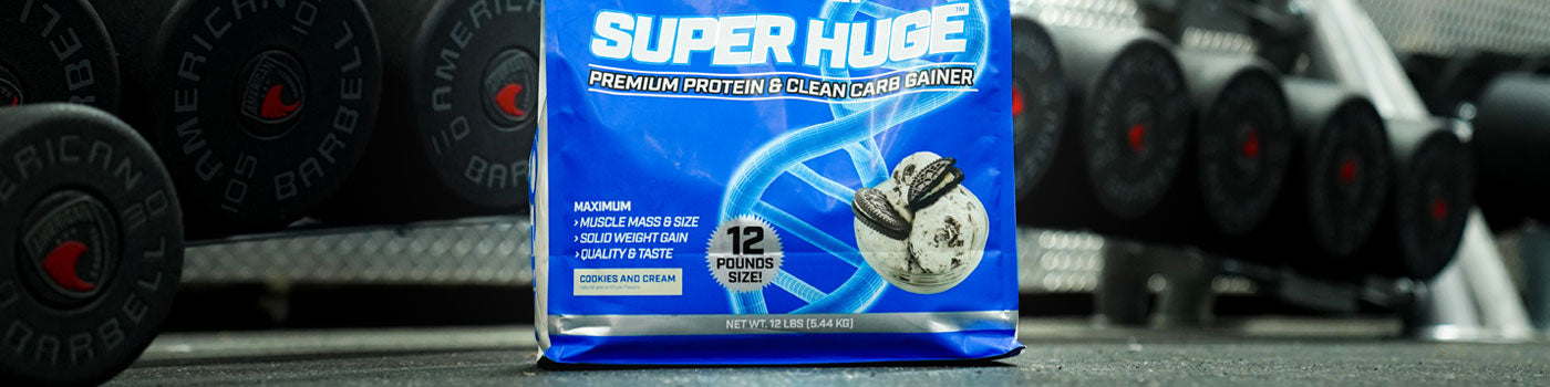 Muscle Building Recovery