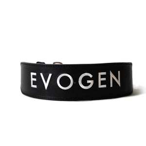 Next-Gen Lifting Belt